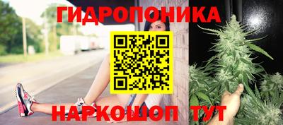 PSILOCYBIN Северобайкальск