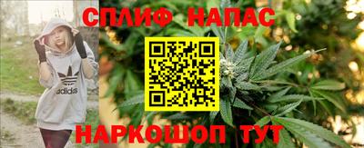 PSILOCYBIN Северобайкальск