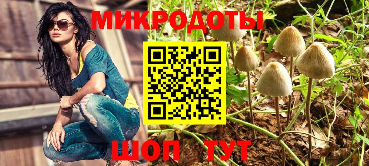 Псилоцибиновые грибы мицелий Черногорск